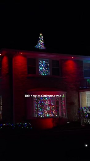 Best Christmas Tree Ideas for Your Home
