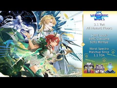 S3R1 Luuk Clear The Worst Spectro Resistence ToA Matchups | 3.1ToA All Middle Floors Wuthering Waves