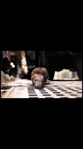 Understanding Dangerous Bacteria in Movies