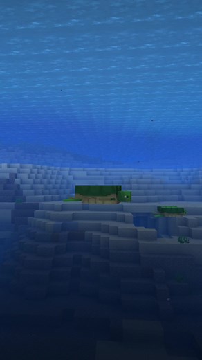 Alles über die Schildkröten in Minecraft