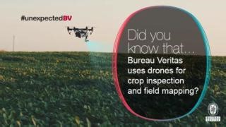 How is precision farming revolutionizing the agriculture sector? Precision farming combines information technology, specialized equipment and software to improve the sustainability and profitability of agricultural operations while protecting the environment. To support our clients in the agriculture industry, Bureau Veritas has developed precision farming solutions based on crop inspection by drone and satellite. With our expertise, crops can be monitored over long periods to collect data on tr