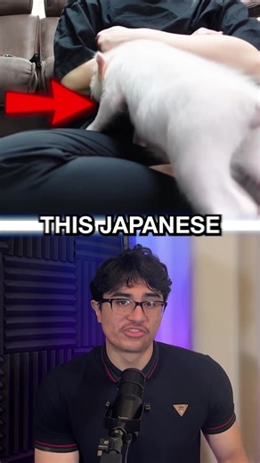 Raising a Mini Pig: Journey of 100 Days