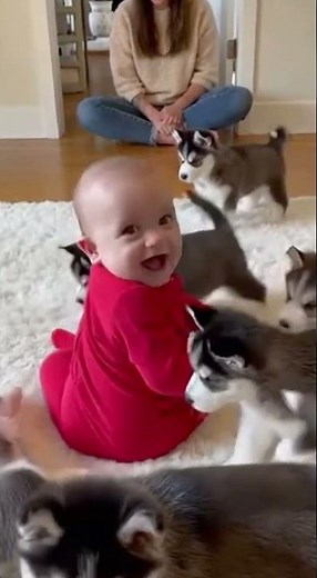 🐺Baby Was NOT Ready for Husky Puppy Surprise 😳🐶