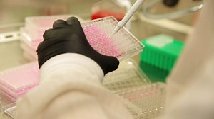 Why Gene-Editing Technology Has Scientists Excited