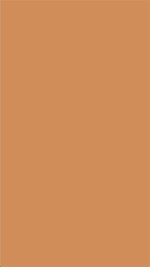 PERSIAN ORANGE SCREEN | Solid Color Background | D99058