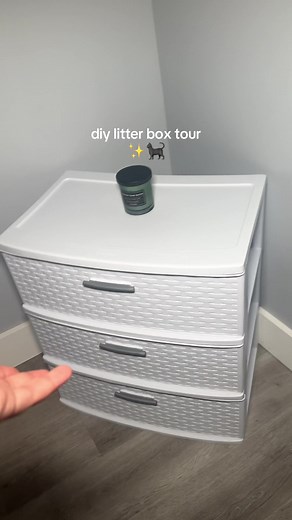 DIY Litter Box Hacks for Better Cat Care