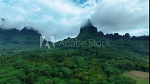 Verdant Dense Thicket Over Forests In Moorea Islands, French Polynesia. Aerial Drone Shot