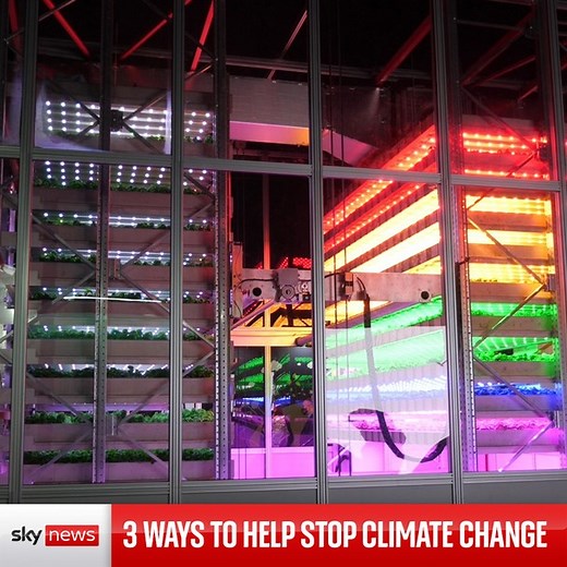 8.6K views · 92 reactions | The fight for the planet isn't just happening in Glasgow at #COP26 We asked three experts how you can save the planet from the comfort of your own home House buildingUniversal recycling symbol https://news.sky.com/climate | Sky News | Facebook