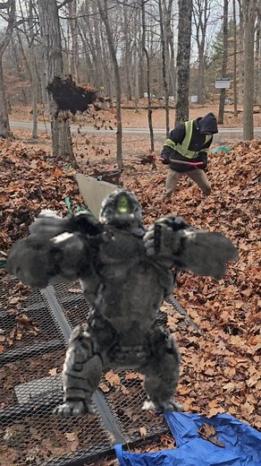 17 reactions · 4 comments | Second-to-last day of work in Lyndhurst,...