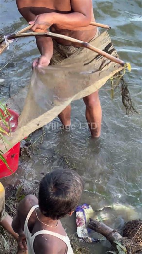 🎣 Fishing for LIFE in a Desi Village | A Day of Traditional Fishing in Rural Life 🌾 Village Ltd