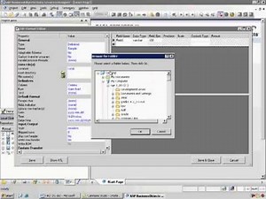 Extracting the Flat File into Data Services