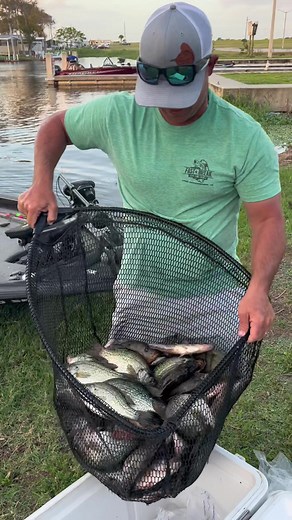 Crappie Fishing Limit on Lake Okeechobee