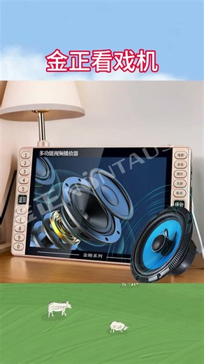 金正老年唱戏机高清大屏老人看戏机小收音机多功能听戏插卡一体带显示屏戏曲广场舞视频播放器看戏机 19#高清钢化屏旗舰版 标配 64G精选视频可指定下载
