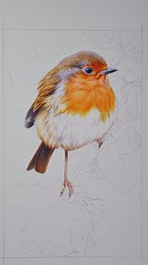 1.8K views · 2.9K reactions | My sweet #robin has come to life, a...