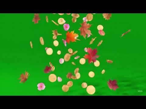 Falling Objects Green Screen | Coins, Petals & Leaves | Free 1080p Chroma Key Video