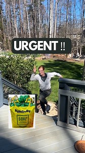 Soil3 is my go to for using in grow bags, filling and topping up raised beds and sheet mulching. I like to keep a bag on hand at all times. Unbeknownst to me, my husband had used most of our soil3 and I was quite surprised to find it almost empty. I was able to get a delivery quickly, and this time I got two cubes. One compost cube for my husband and a cube of veggie mix for me. Soil3 large bags (1 cubic yard) are available for delivery in GA, AL, TN, SC and NC, and through the end of February (