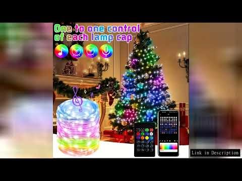 LED Fairy Light Phone App Remote Control WS2812B RGB LED String DIY Smart IC Addressable Dreamcolor