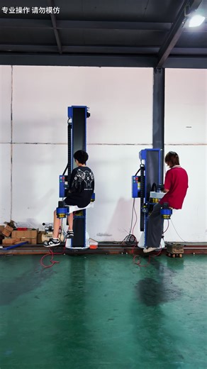Column Palletizing Robot
