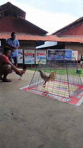 ER Gamefarm on TikTok