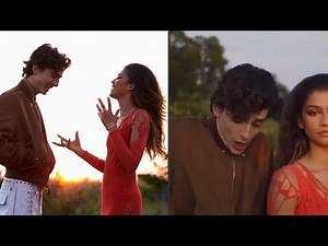 Timothée Chalamet gets attacked by a bee while Zendaya laughs at him!