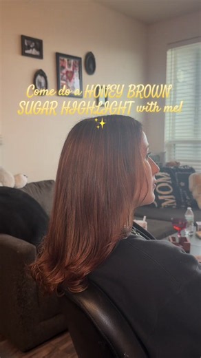 Honey Brown Sugar Highlight Hair Transformation — Shine, Blend, Glow-Up