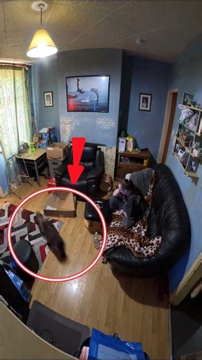 Her Cat Saw Something Under the Table… Then She Let Out a Terrifying Scream 😱👻