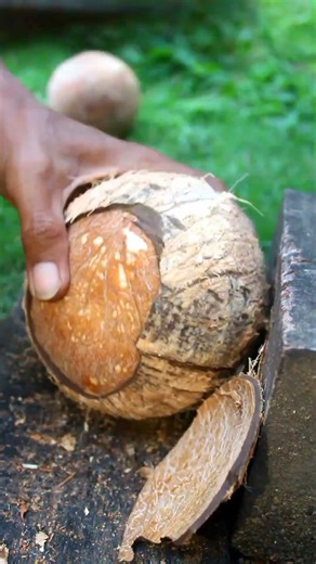 Magic tool for opening coconut