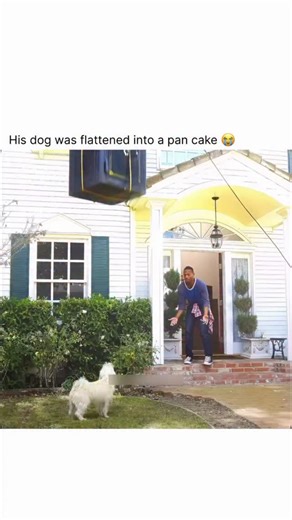 Entertainment on Instagram: "His dog was flattened into a pan cake 😭 Credit to Lionsgate, Haxan Films, and director Michael Tiddes for Haunted House 2 (2014) Haunted House 2 is a raunchy horror-comedy sequel starring Marlon Wayans as Malcolm, who moves into a new home only to face demonic chaos—from possessed dolls to paranormal roommates—with his signature slapstick humor. Packed with absurd parodies of horror classics (The Conjuring, Insidious) and over-the-top gags, it’s a guilty pleasure fo