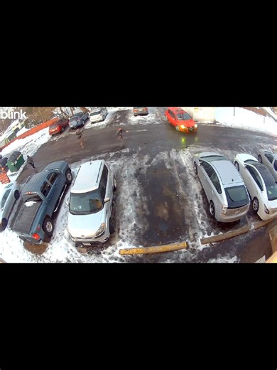 Border Patrol Tries To Stop Car But Gets Away Minneapolis 1-09-26 #shorts #Minnesota #fyp #ice #immigration