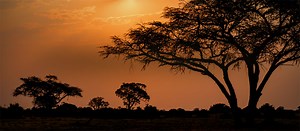 South Africa hunting trips