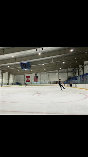 Exploring the Art of Figure Skating