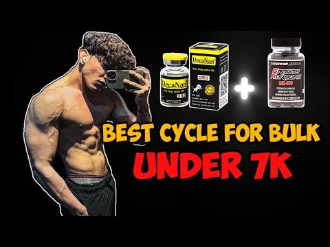 Low Budget, High Performance: Steroid Cycle Gains You Can Afford!