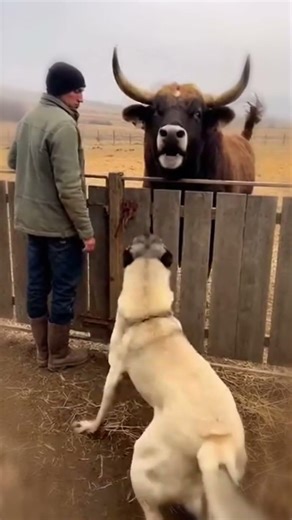 Two Friends Meet Again After 1 Week 💕