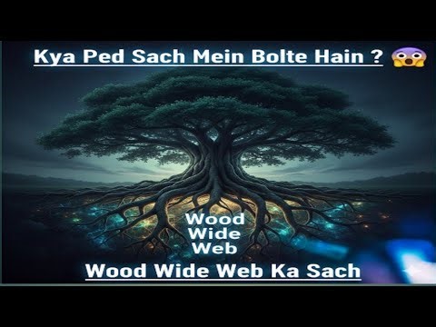 “Paudhe Baat Kaise Karte Hain? | The Secret Life of Trees | Wood Wide Web Explained in Hindi”