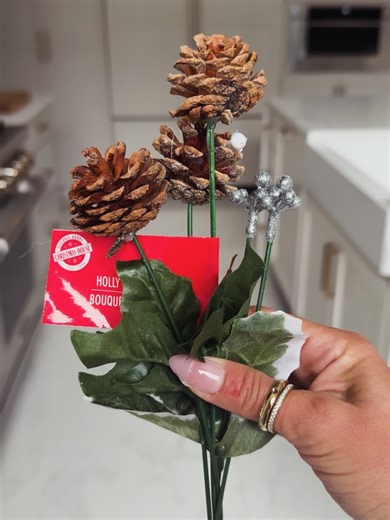 House of V - Luxe on Instagram: "These Dollar Tree black lanterns look just like the designer versions from Pottery Barn 🤎✨Would you try this DIY at home? The Caleb Lantern (Pottery Barn, $69) and Maxwell Lantern (Pottery Barn, $54) both feature the same clean matte-black frame and glass-pane design — but mine were under $5 each. I added pinecone picks, LED candles, and a touch of pinecones to give that quiet-luxury holiday glow without the price tag. The result? A timeless, high-end look that 