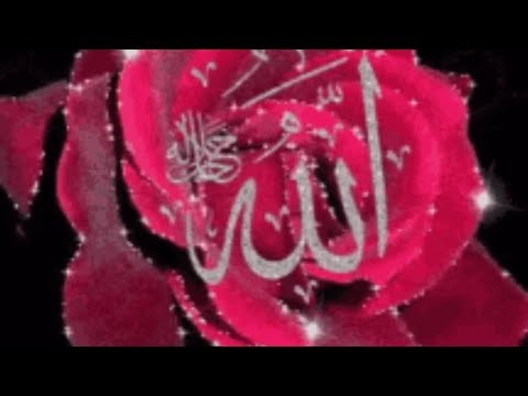 Asalaamualikum every one