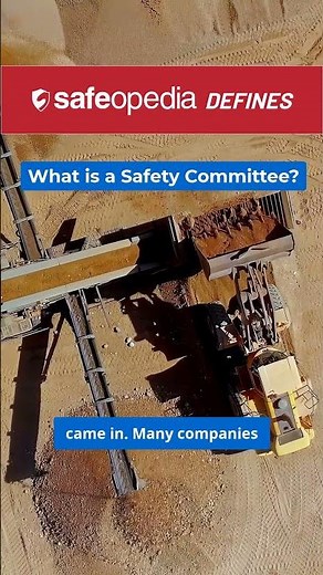 What is a Safety Committee?