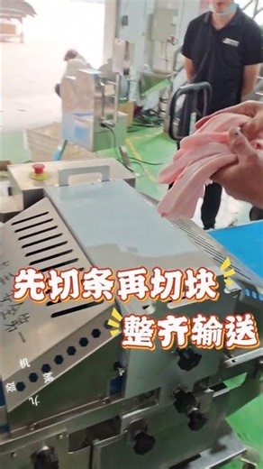九盈机械自动开条机鲜肉切条切块，适用于新鲜禽类、鱼类、五花肉、牛肚等 Automatic Strip and Block Cutting Machine