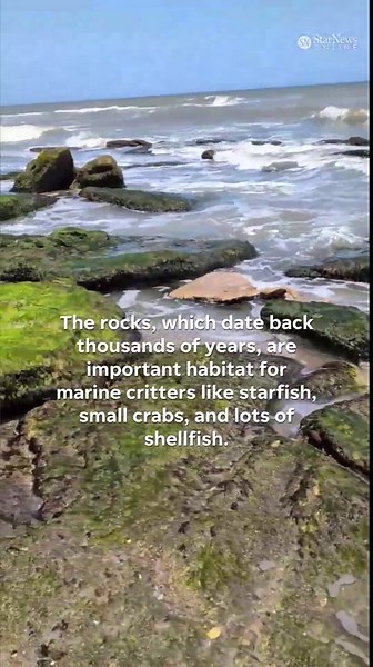 See the unique coquina rocks in Kure Beach