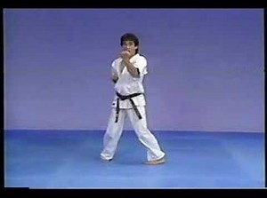 Karate kyokushin kata Gekisai dai