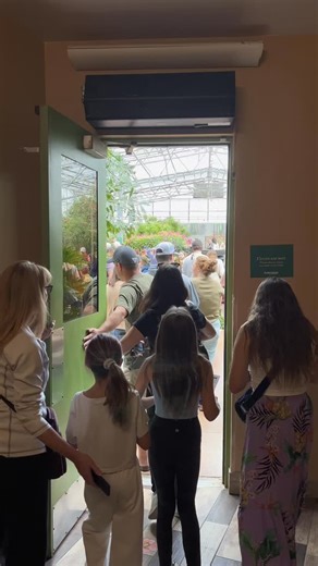 149 reactions · 14 shares | On Veterans Day (Tuesday, November 11th), Butterfly Wonderland celebrates both veterans and active-duty military personnel with $3 off General Admission tickets with a valid ID. The discount is valid at the Butterfly Wonderland Ticket Window onsite only. Thank you to all who have served and currently serve! 曆 | Butterfly Wonderland | Facebook