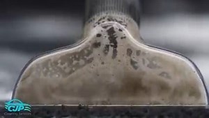 1.5K reactions · 81 shares | Home Service Auto Detailing with FREE...