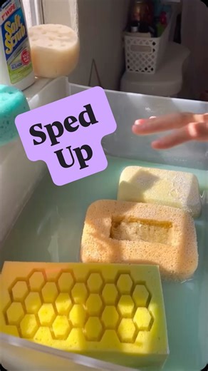 Sponge Squeezing ASMR on Instagram: "A sped up version of a video from a couple weeks ago until I get these newer videos edited 🤍🫶🏻 #spongeasmr #asmr #spongesqueezing"