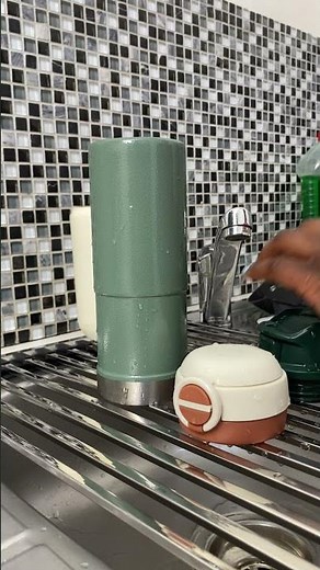 Stainless Steel Over the Sink Roll Up Drying Rack