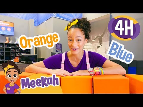 Meekah Sky Zone - Flips | 4 HOURS OF MEEKAH! | Educational Videos for Kids