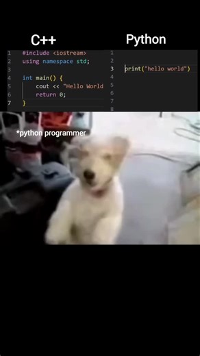 shin on Instagram: "Python programmer 😆"