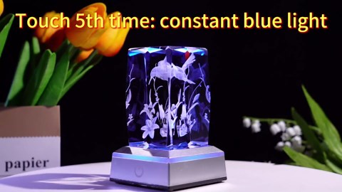 Enjinkail 3D Hummingbird Mothers Day Gifts for Mom Women Glass Figurines Crystal Humming Bird Lily Flower Statue Home Decor with Light Base, Present for Nature Lovers on Birthday Christmas