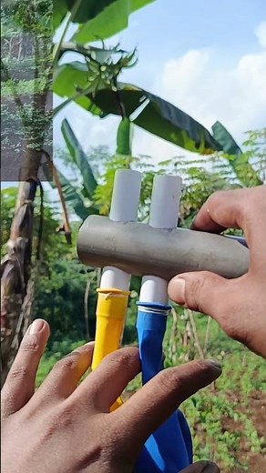viral slingshot #diyslingshot #experiment #bamboo #pvc #catapults #outdoors