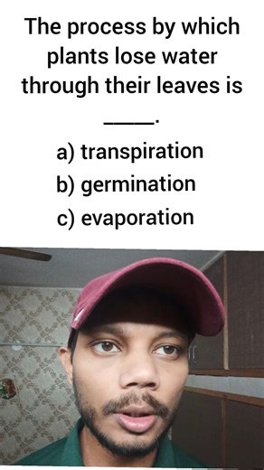 #ssc #ssccgl #sscgd #sscchsl #sscmts #sscexam #delhipolice #ips #ias #upsc #upscmotivation #shorts