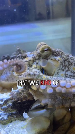 Check out this | Alux